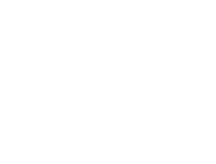 Business plan & Stratégie créative : positionnement, cible, storytelling